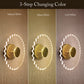 Lucent Nest LED Wall Lights For Wall-Mounted Lamps for Living Room, Bedroom, Office, Hallways & Feature Walls